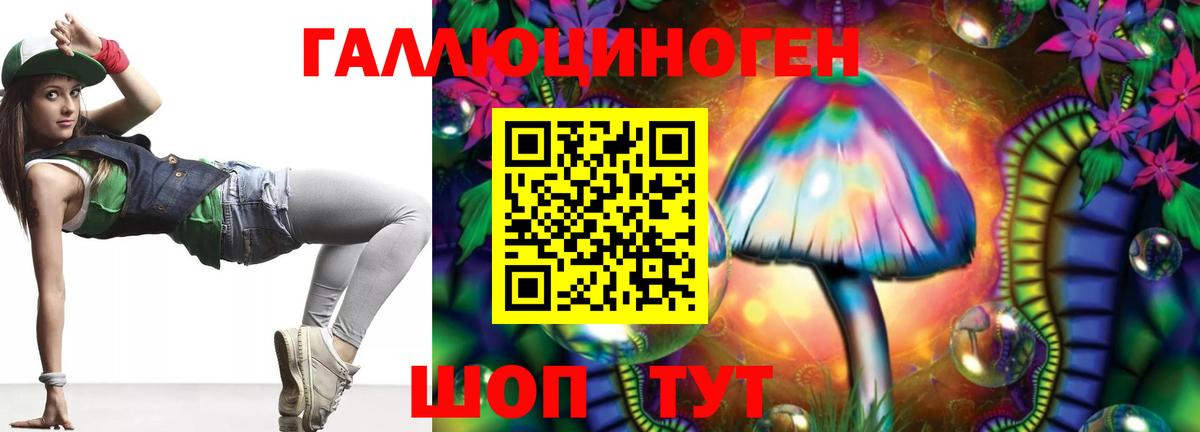 Галлюциногенные грибы Psilocybine cubensis Люберцы